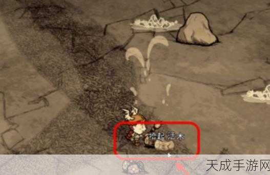 饥荒世界揭秘,解锁神秘树精召唤术的终极攻略