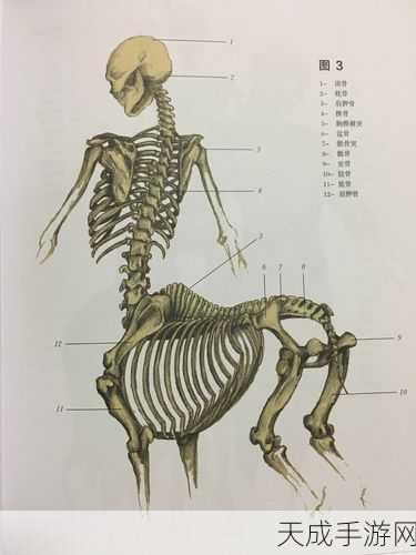 人马禽company:拓展人马禽公司:致力于推动现代农业与生态养殖的创新发展