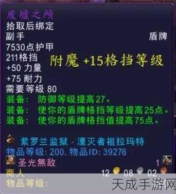 wlk 防骑 雕文:提升WLK防骑雕文效果,打造最强生存能力!