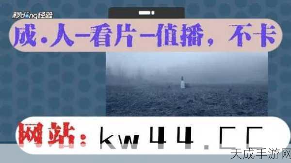 搞机time免费十分钟:免费体验十分钟,尽享拓展搞机新乐趣!