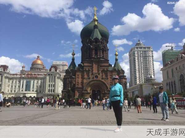 伊春园2024口直达生活:伊春园2024:共创直达生活新篇章,畅享美好未来