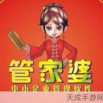 管家婆三期开一期精准的背景：探索管家婆三期项目的精准实施背景与意义