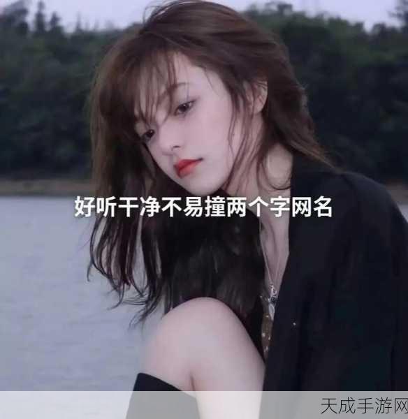 yw52777最新网名：当然可以！以下是一些扩展的网名建议，字数不少于12个字：