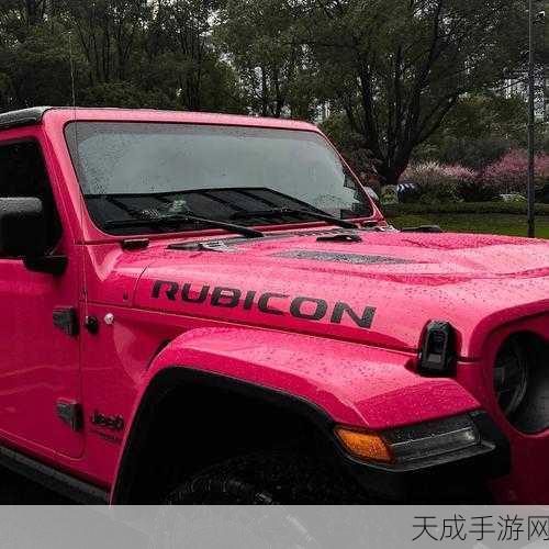 桃红色jeep界:探索桃红色Jeep的魅力与冒险之旅,开启你的个性化越野体验