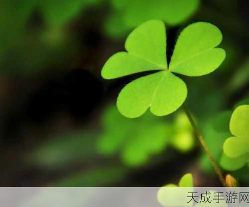 三叶草全网免费:全面解析拓展三叶草,免费资源助你快速上手!