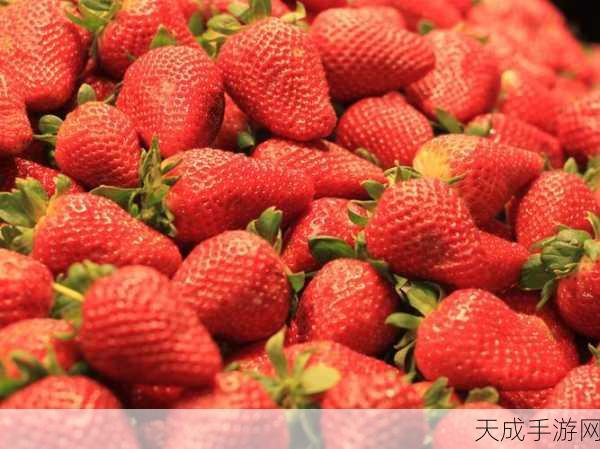 x草莓视频：探索草莓视频的多元精彩：畅享无限创意与乐趣！