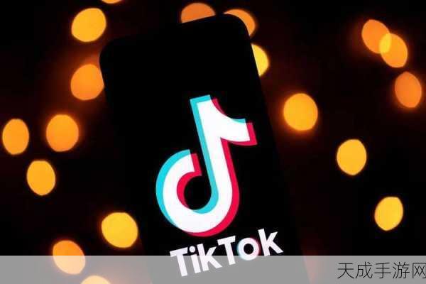 91视频破解版:全面解析91视频破解版本的功能与使用技巧
