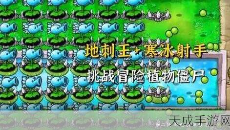愤怒的植物,全新塔防挑战,策略与乐趣并存!