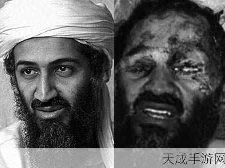 911黑料网八卦有理爆料:揭秘911黑料网:八卦内幕大曝光,真相令人震惊!