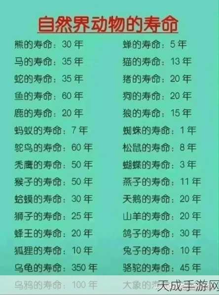 精品一线二线三线区别在哪欧美:一线、二线和三线城市的区别及其在欧美市场的影响分析