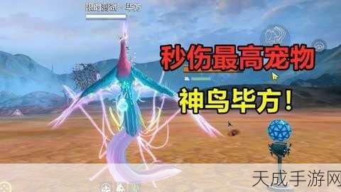 妄想山海2024,五万年宠物战力巅峰解析,揭秘宠物养成新纪元