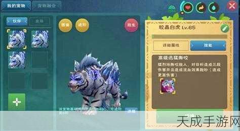 创造与魔法全汽车图鉴,解锁每款座驾的独特魅力与性能