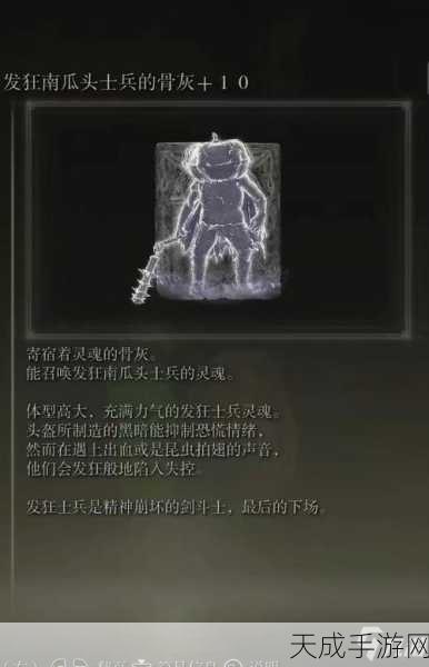 艾尔登法环骨灰血量大揭秘，顶尖骨灰血量排名与实战攻略