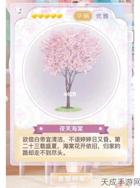 奇迹暖暖深度攻略,揭秘荧光之灵高效获取顺序