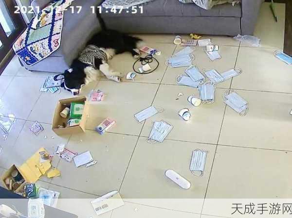 妄想山海，拆家大赛火爆来袭，揭秘拆家背后的财富秘密！
