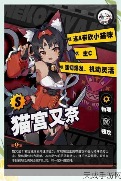 绝区零猫又全攻略，技能天赋深度解析，实战策略独家揭秘