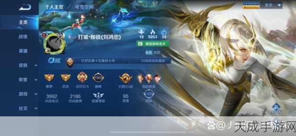 王者荣耀巅峰荣耀,揭秘巅峰王者证书的尊贵象征与获取之路