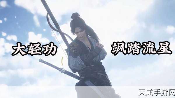 流星群侠传,揭秘内功等级上限,探索武学巅峰之路