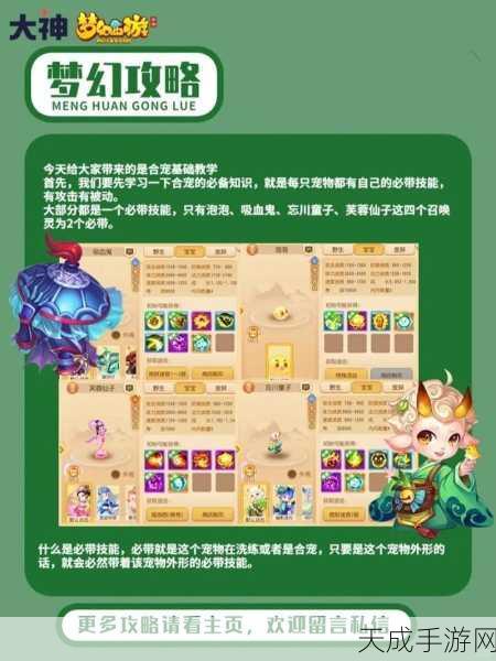 梦幻西游手游,揭秘合宠绝技,打造顶尖极品宠物攻略