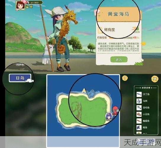 小森生活深度攻略,揭秘小丑鱼王高效钓取技巧与顶级钓点分布