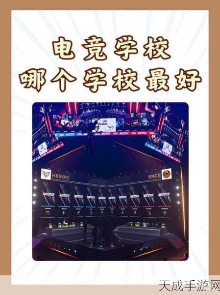 手游资讯,揭秘电竞场馆电度表接线艺术,打造安全高效赛事环境