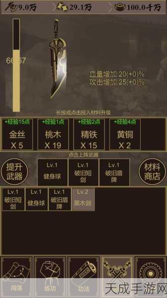 放置江湖飞速进阶秘籍,解锁高效升级新路径