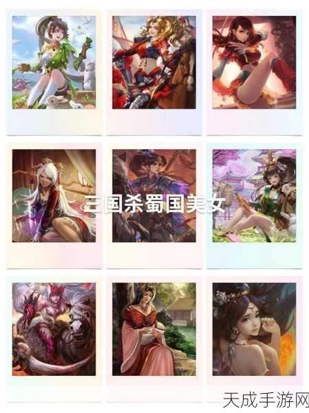 深度解析,三国杀八人场身份分配与角色配置策略,解锁团战新姿势