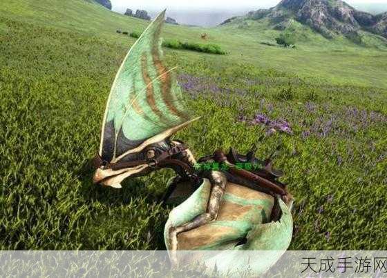 方舟生存进化手游,风神翼龙捕捉全攻略,揭秘高效捕捉技巧与必备神器