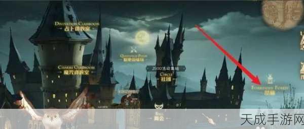 哈利波特,魔法觉醒新冒险揭秘——金色禁林消失的快乐挑战全攻略