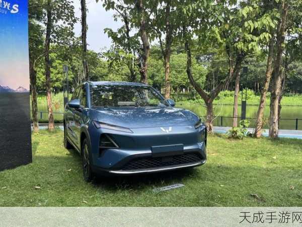 五菱印尼新能源汽车大捷,16万辆整车下线,领跑印尼绿色出行市场