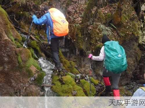 魔兽世界永恒岛探秘,苔藓箱子开启次数揭秘及最新动态