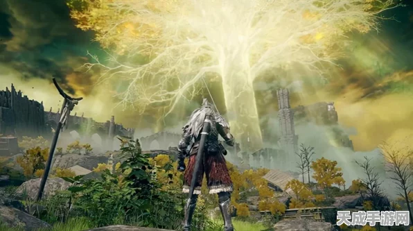 艾尔登法环PS4/PS5帧率揭秘，能否畅享60帧丝滑体验？
