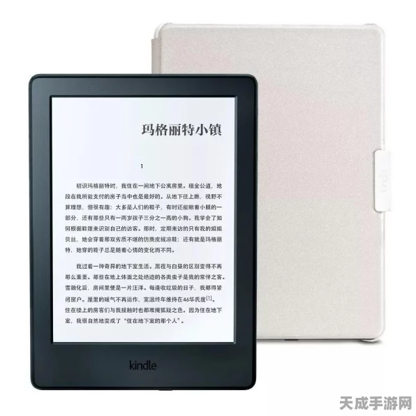 Kindle电子书阅读器全攻略，解锁导入电子书新技能