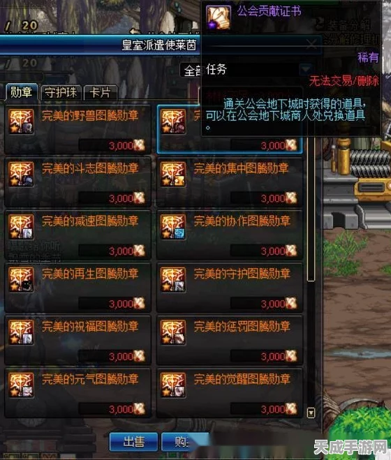 DNF瞎子玩家战力大提升！揭秘勋章选择秘籍，助你登顶巅峰！