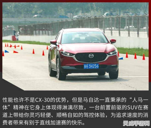 马自达EZ-6，新能源赛道上的操控王者与豪华典范