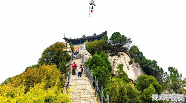 最强祖师修炼资源深度解析，揭秘高效获取秘籍，仙界霸主之路近在咫尺！