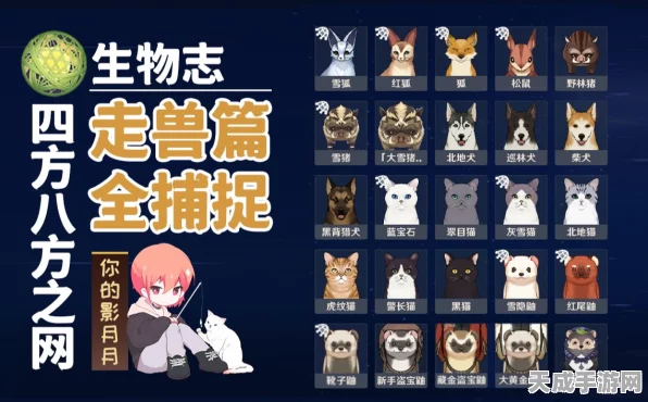 原神四方八方之网，揭秘可捕捉小动物全攻略