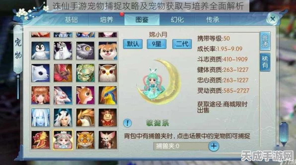 诛仙手游枸杞获取秘籍，宠物枸杞养成全攻略