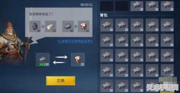 冰原守卫者，揭秘混纺蛛丝布的非凡用途与竞技新策略