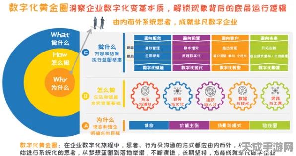 金融证券业数字化转型，揭秘数据中台与网络安全CIO的关键角色