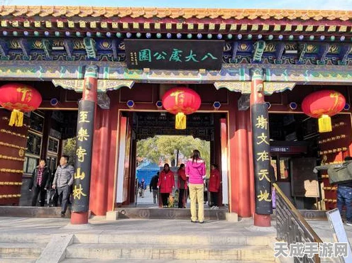 独家揭秘，最强蜗牛佛牙舍利获取全攻略，解锁游戏新境界