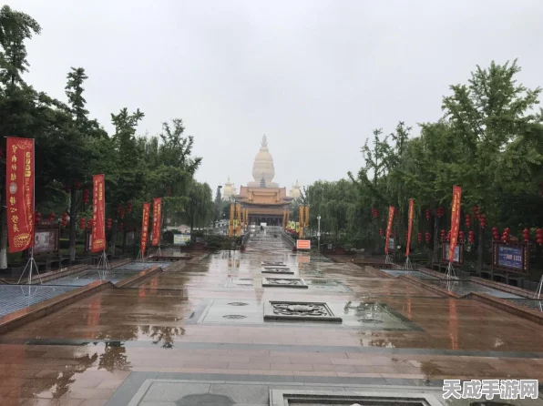 独家揭秘，最强蜗牛佛牙舍利获取全攻略，解锁游戏新境界