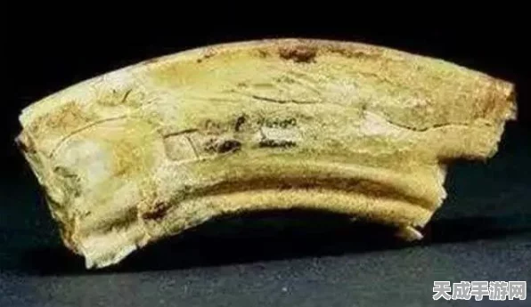 独家揭秘，最强蜗牛佛牙舍利获取全攻略，解锁游戏新境界