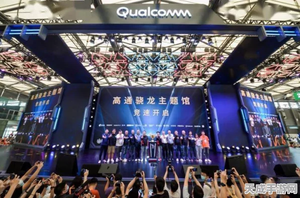 手游科技新突破，电压放大器助力可变形机翼模型实验大揭秘