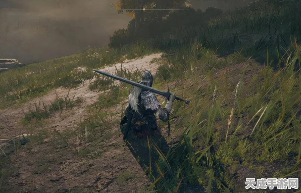 艾尔登法环极致画质解锁，RTX 3060显卡优化设置全揭秘