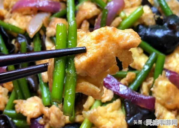 食物语烹饪大赛性价比攻略，解锁餐厅烹饪食谱秘籍