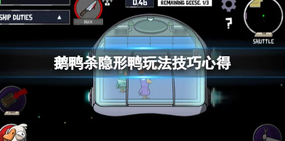 太空鹅鸭杀深度攻略，掌握隐形鸭的终极伪装术，称霸太空战场