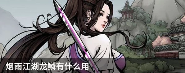 烟雨江湖深度解析，龙鳞装备性价比大揭秘