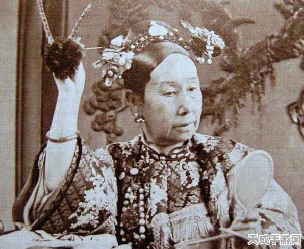 帝国时代4深度攻略，揭秘人口管理精髓，打造无敌战略版图