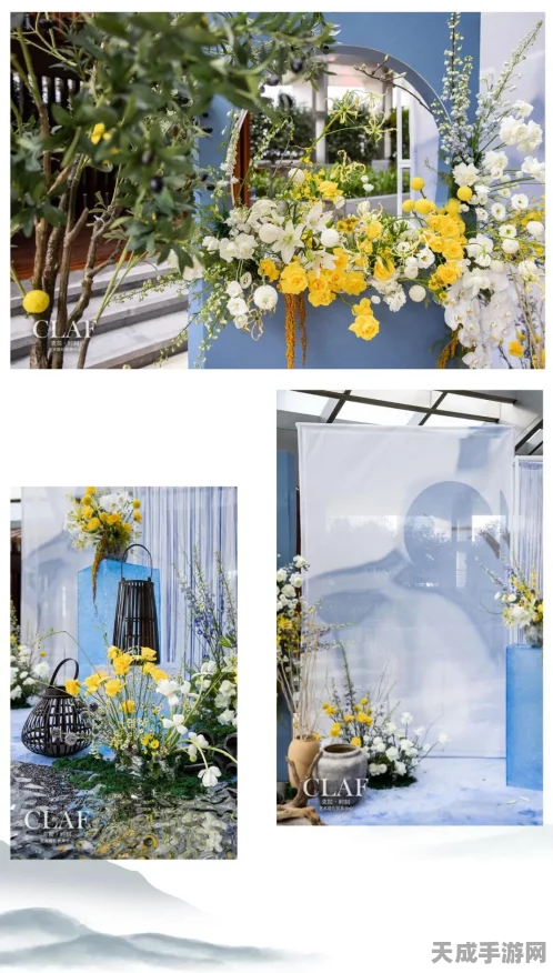 烟雨江湖，花艺大师养成记，插花盆栽制作秘籍全揭秘